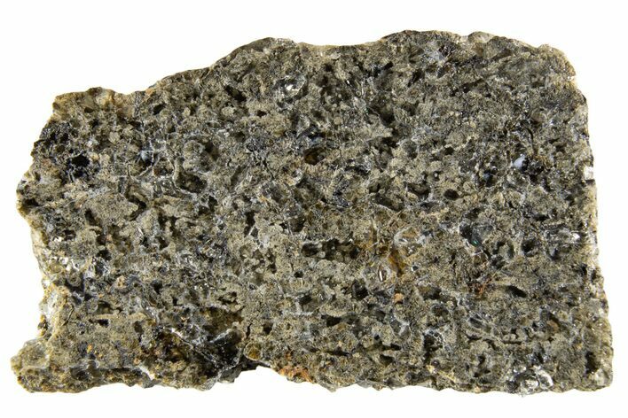 Martian Shergottite Meteorite ( g) Slice - NWA #335340